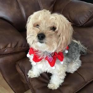 Meet your Posher, Raymonde